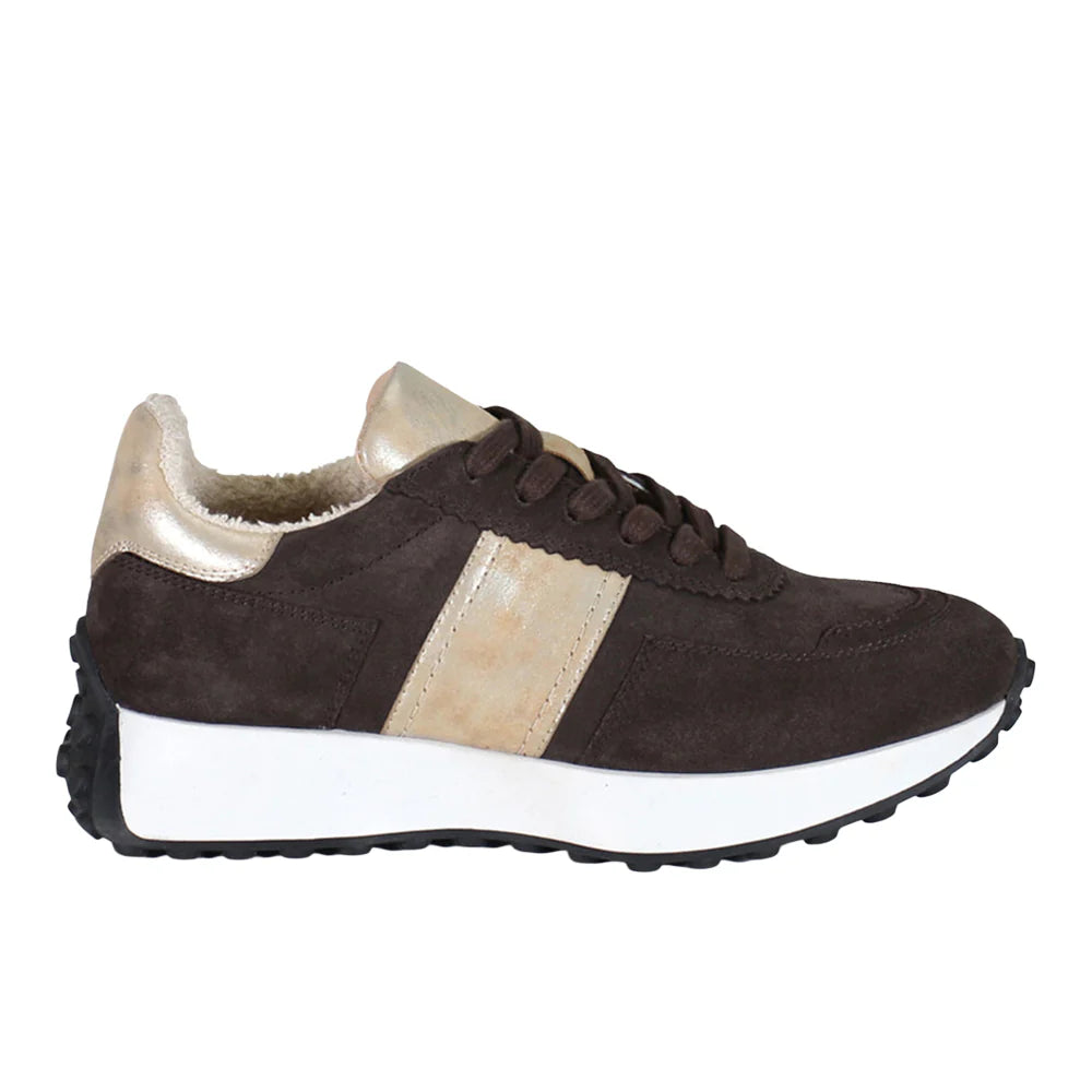 Know It All Metallic Lace Up Sneakers