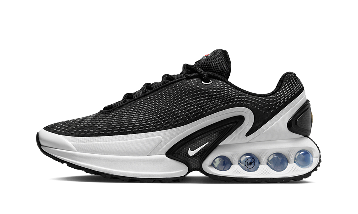 Air Max Dn"Black/ White" FJ3145 002