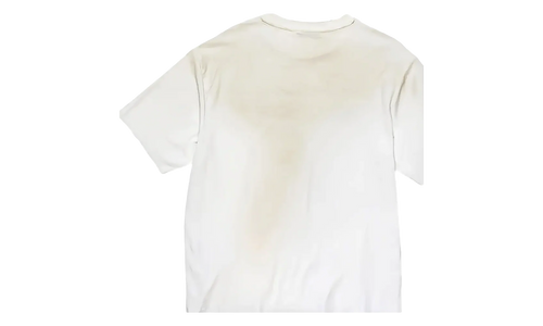 Logo Relaxed Fit T-Shirt "Dusty White" FN UX TSHI000013 DC6