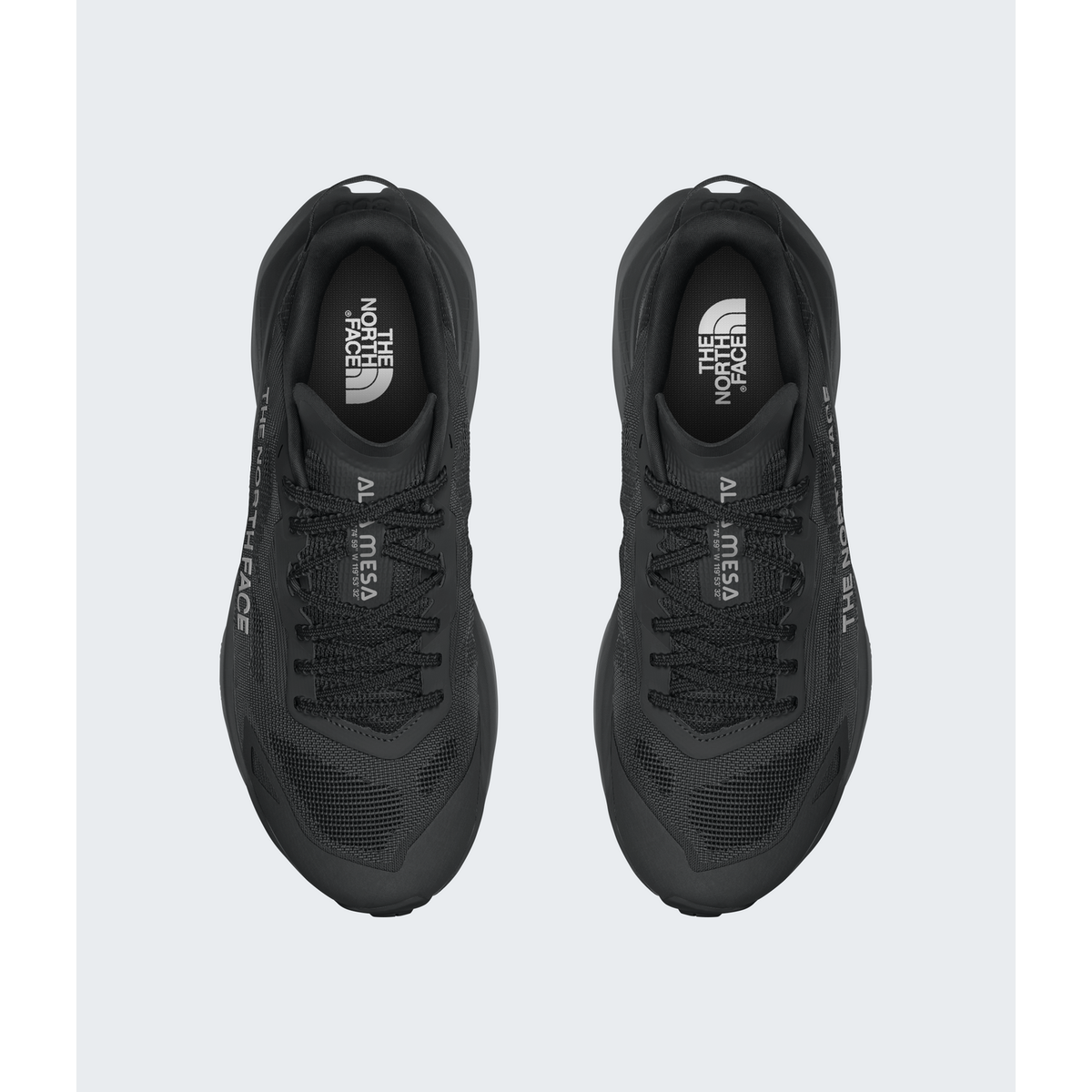 Men's Altamesa 300 V2 Shoes