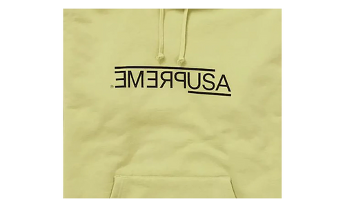 USA Hooded Sweatshirt "Light Sage" FW21SW79 LIGHT SAGE