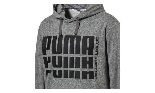 Rebel Bold Hoodie "Gray" 853390 03