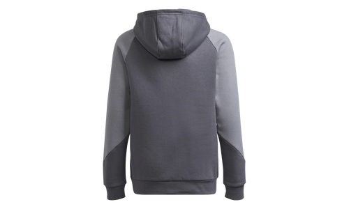 SPRT Collection Hoodie GS "Grey Five / Grey Three" H31213