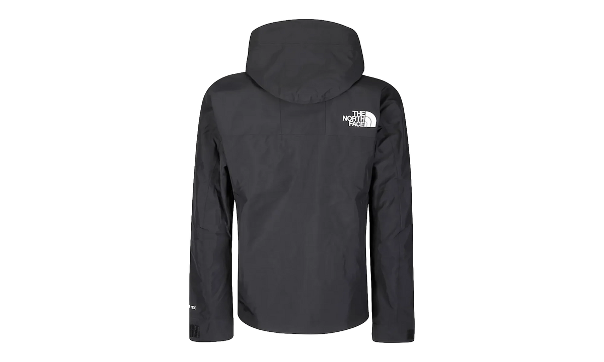 GTX Mountain Jacket "TNF Black" NF0A831MKX8