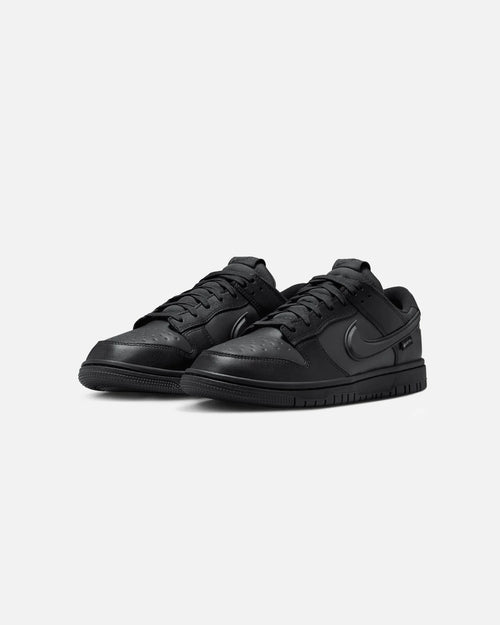 Dunk Low GORE-TEX Black/White