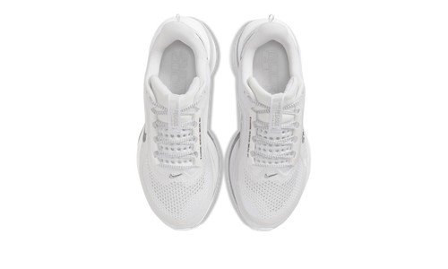 Pegasus Premium WMNS"White Metallic Silver" HQ2593 102